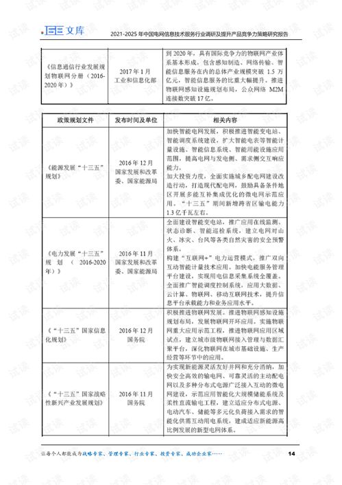 2021-2025年中國電網信息技術服務行業(yè)調研及產品競爭力提升策略